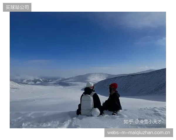 索道托压轮组监测系统的普及,标志着中国滑雪产业设备维护进入数据驱动时代 索道托压轮组监测系统的普及,标志着中国滑雪产业设备维护进入数据驱动时代